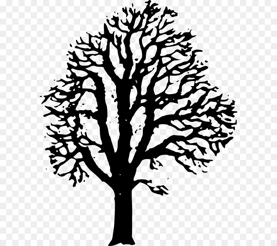Black and white flower. Night clipart tree