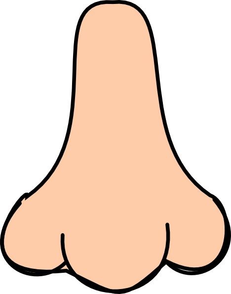 Nose clipart. 