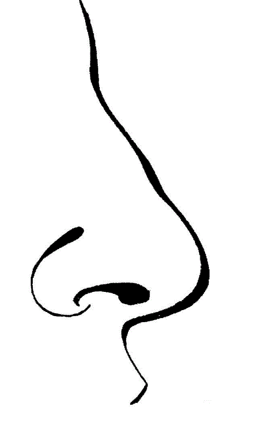 Human black and white. Nose clipart