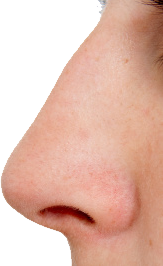 Nose clipart. Png images free download