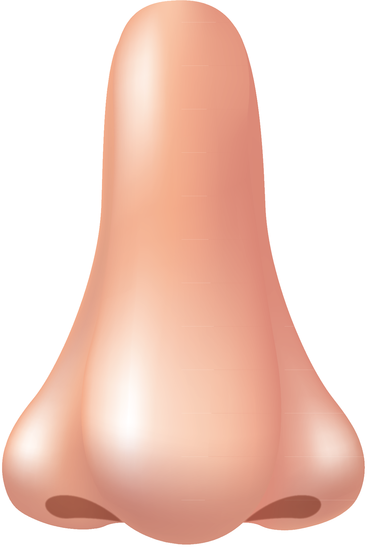 picture clipart nose