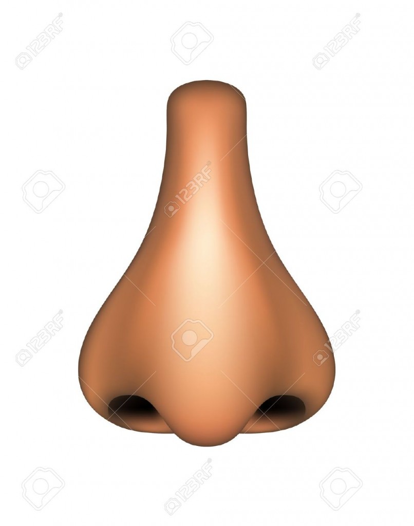 nose clipart african american
