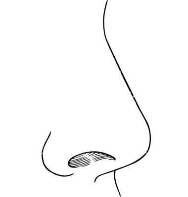 Nose clipart black and white. Free clip art download