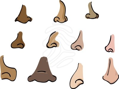 Image . Nose clipart brown nose