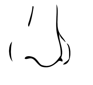 nose clipart coloring page