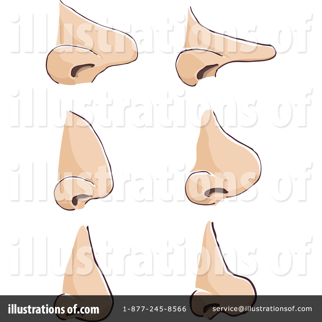 nose clipart different nose