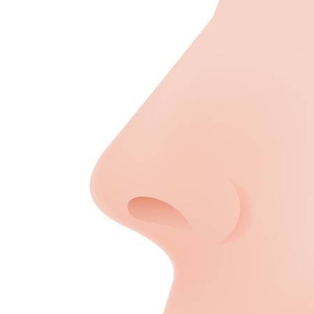 nose clipart flat nose