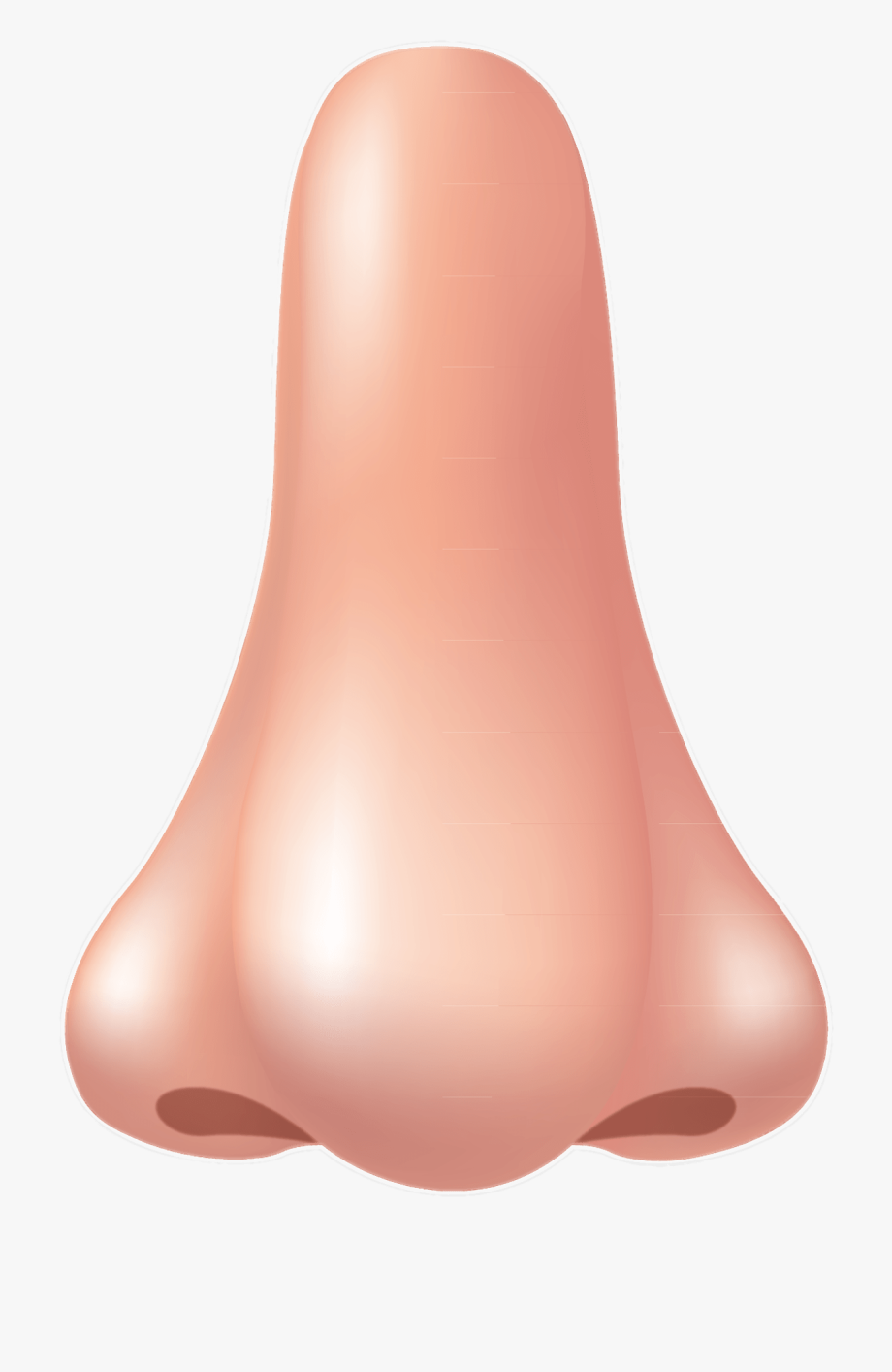 nose clipart large nose