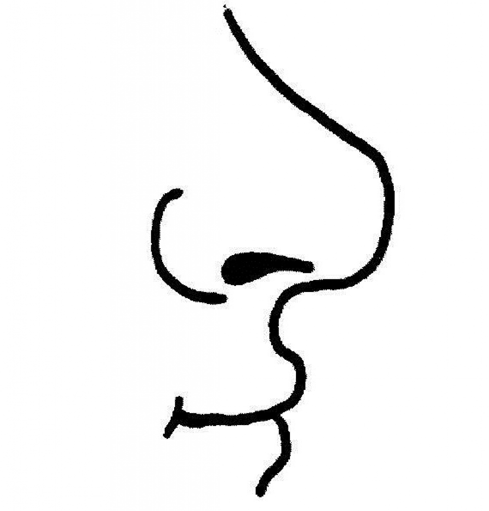 nose clipart nose outline