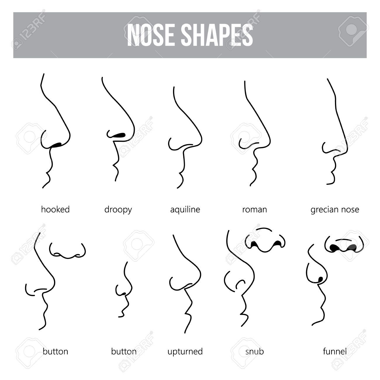 nose clipart nose shape