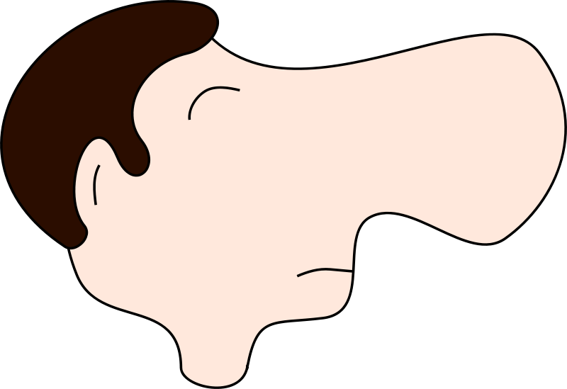Nose clipart nose smell. Transparent cartoon jing fm