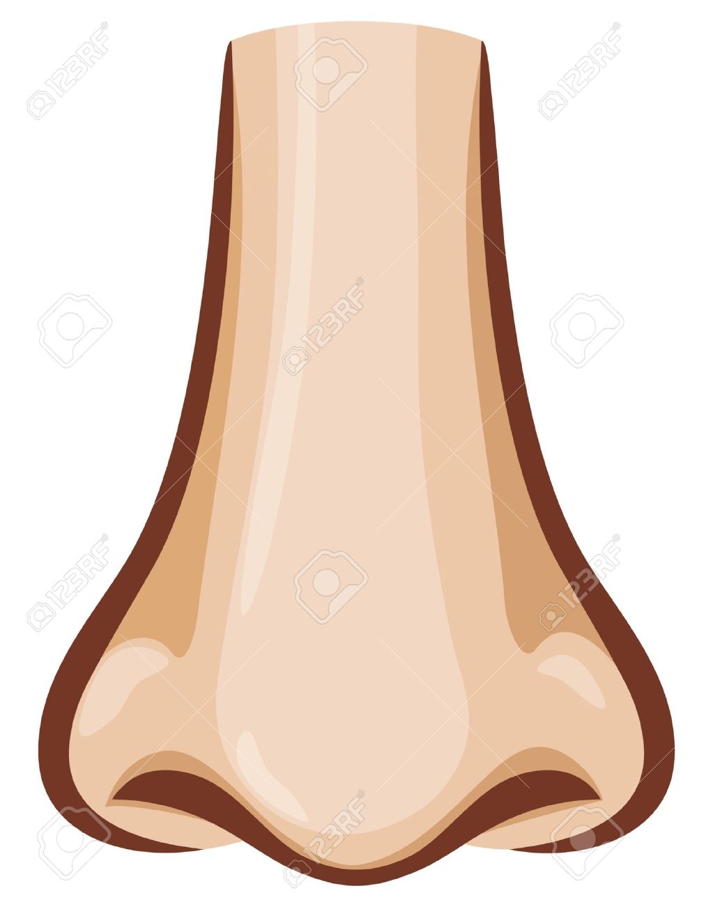 nose clipart pointed nose