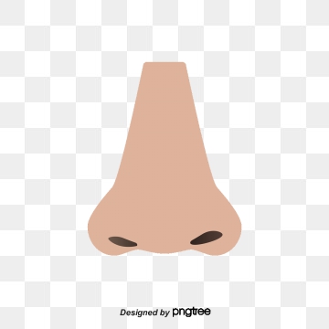 nose clipart simple nose