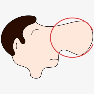 nose clipart small nose