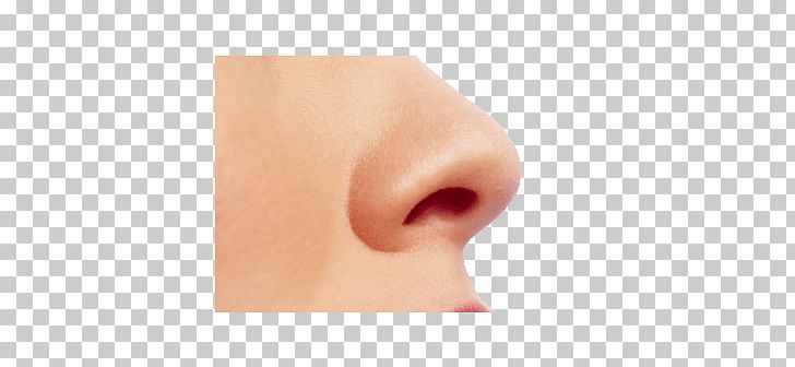 nose clipart small nose