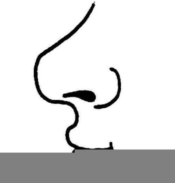 nose clipart smelling
