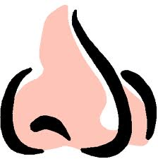 Nose clipart stinky. Cliparts smelly zone 