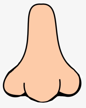 nose clipart wide