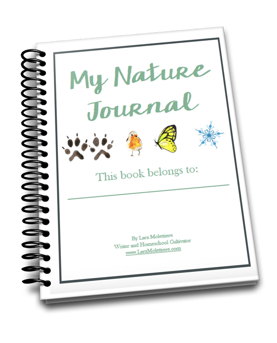 notebook clipart spiral binding