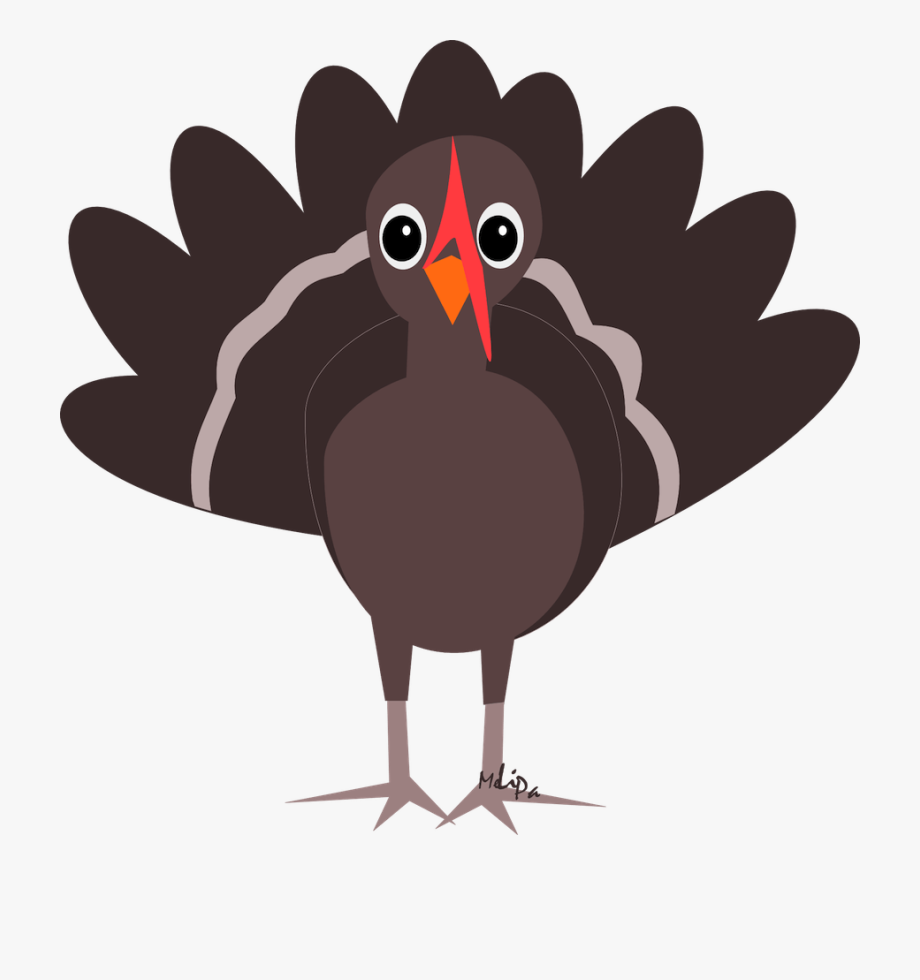 november clipart bird turkey