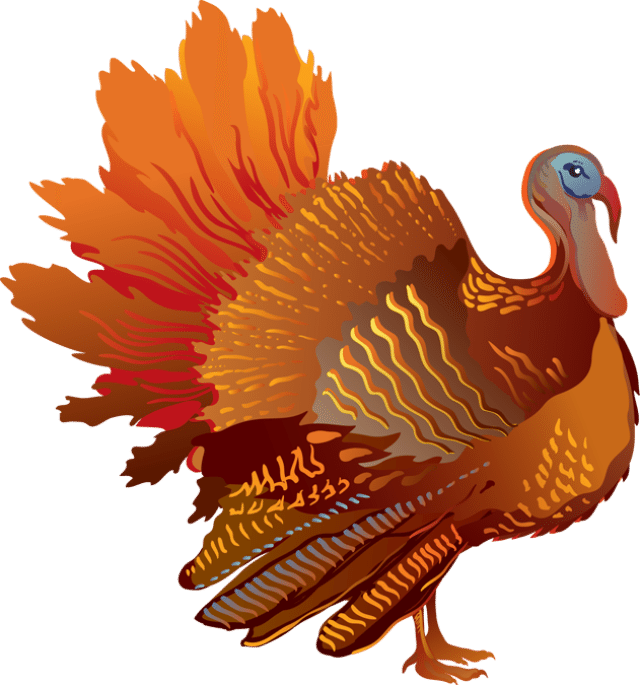 Colored turkey pictures best. Turkeys clipart xmas