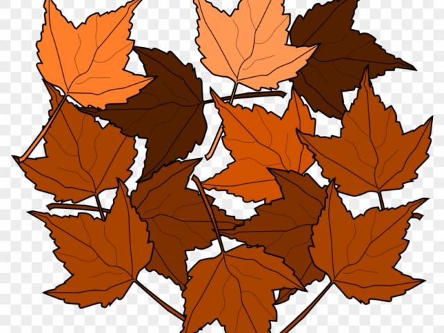 november clipart dry leaf