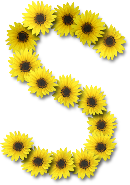 November clipart sunflower. Alfabeto sunflowers s letter