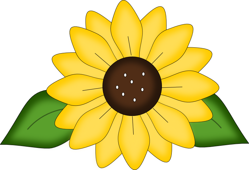 November clipart sunflower. Free svg pattern and
