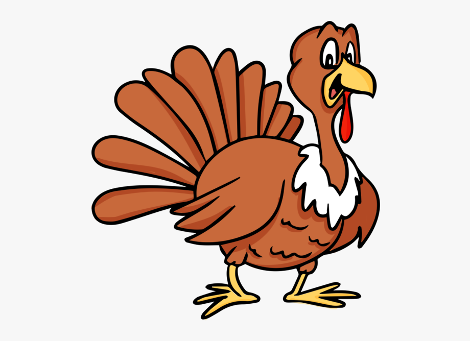 turkeys clipart comic