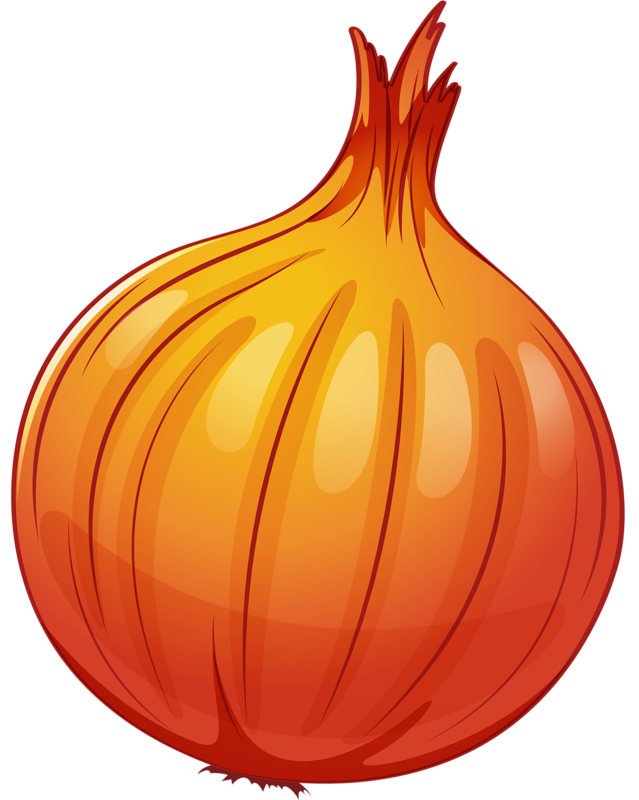 Shutterstock png pinterest onions. November clipart vegetable
