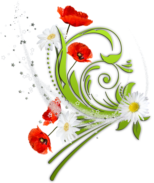Poppy clipart 5 flower. Fleurs bouquets flowers flores