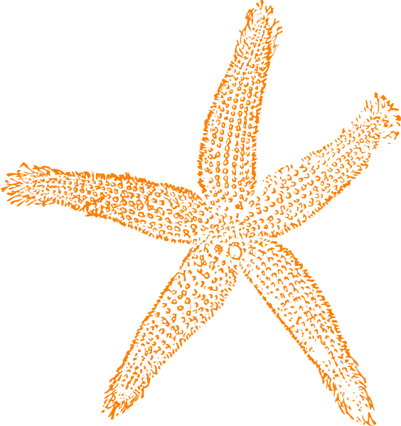 starfish clipart orange starfish
