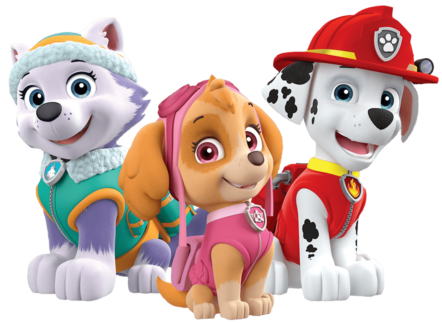 Pink clipart paw patrol. Marshall skye everest png