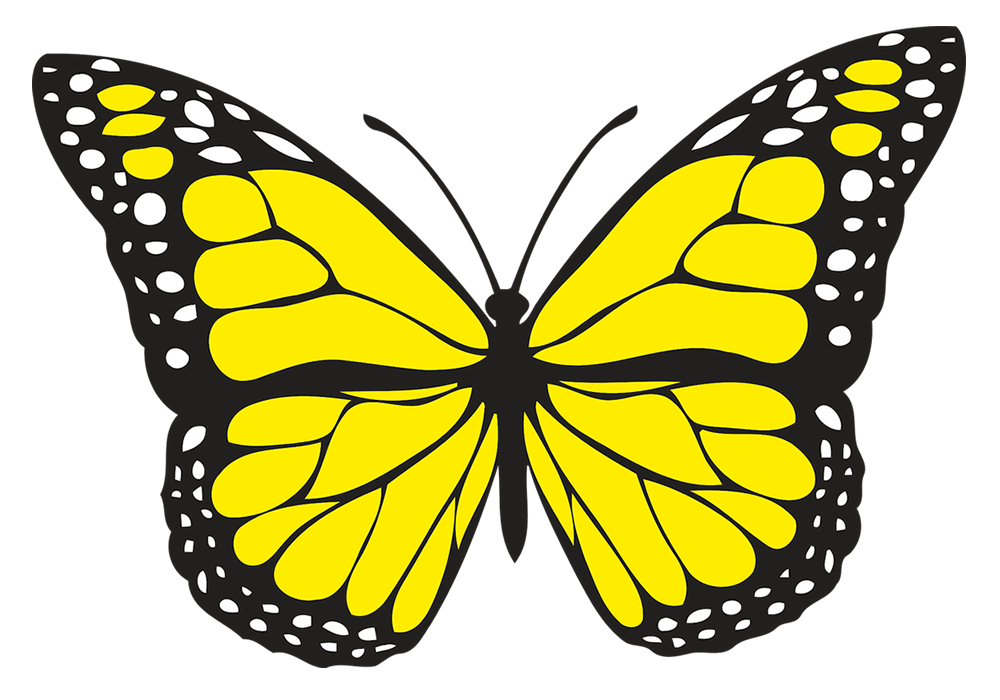 numbers clipart butterfly