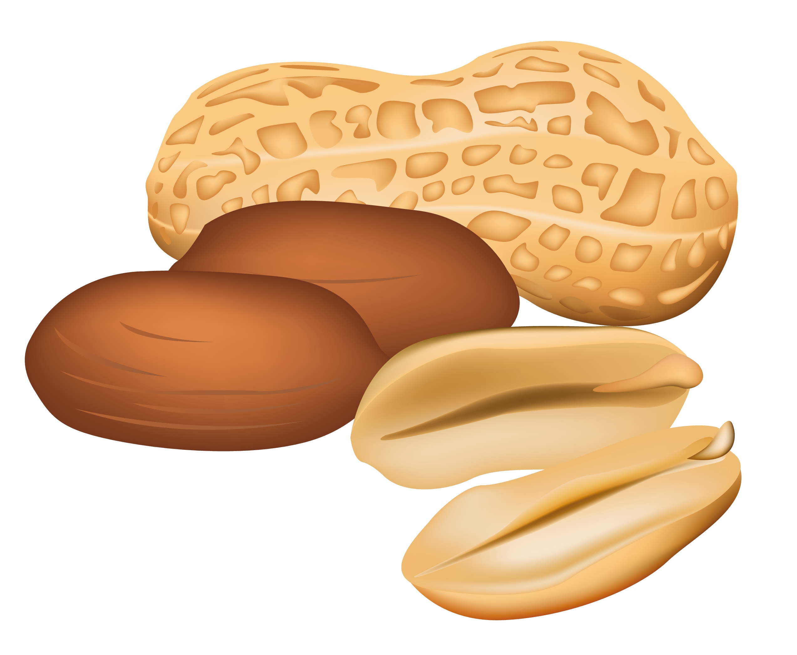 Nuts clipart transparent background. 