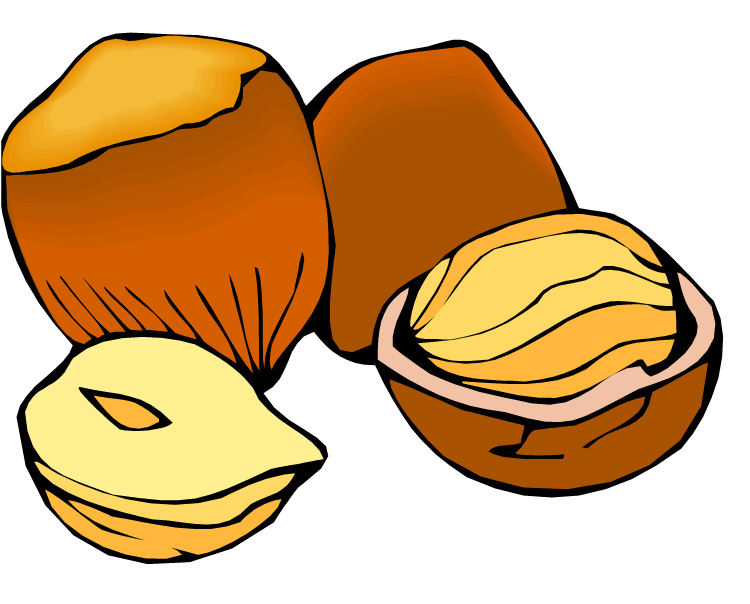 Free cliparts download clip. Nut clipart