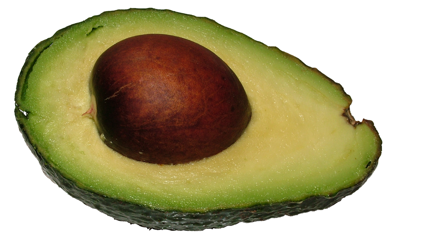 nut clipart avocado