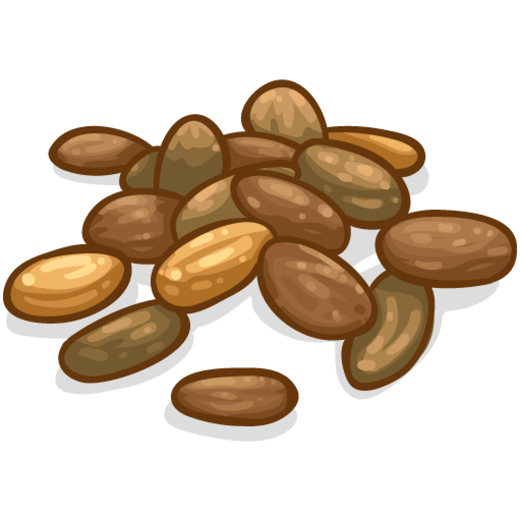 nut clipart bean