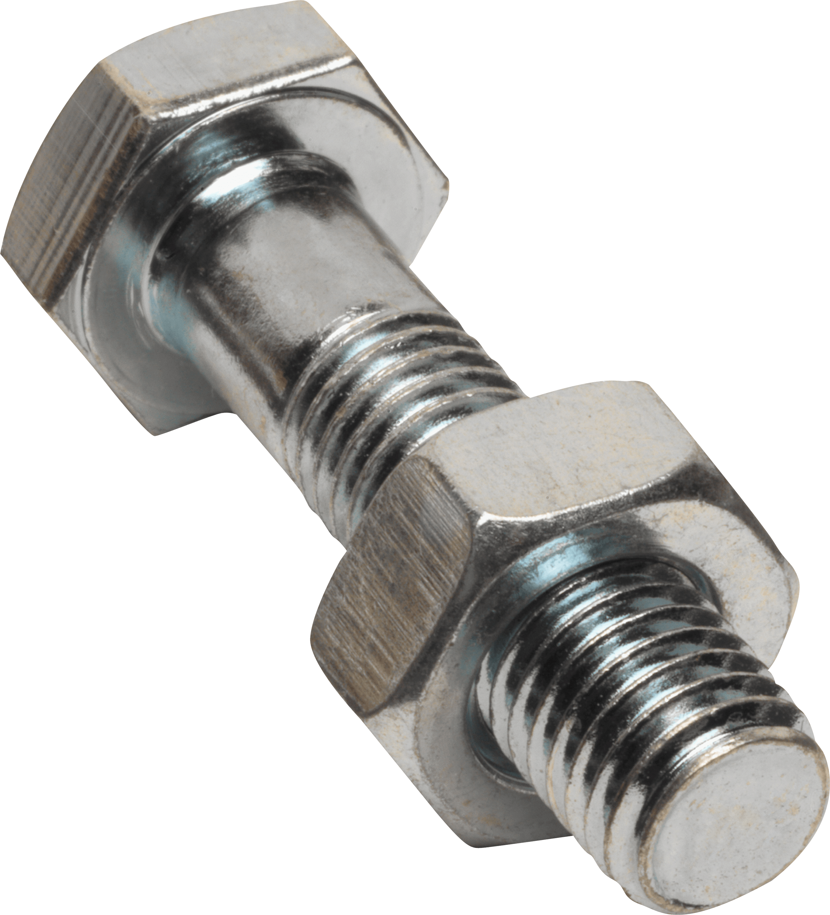 nuts clipart screw