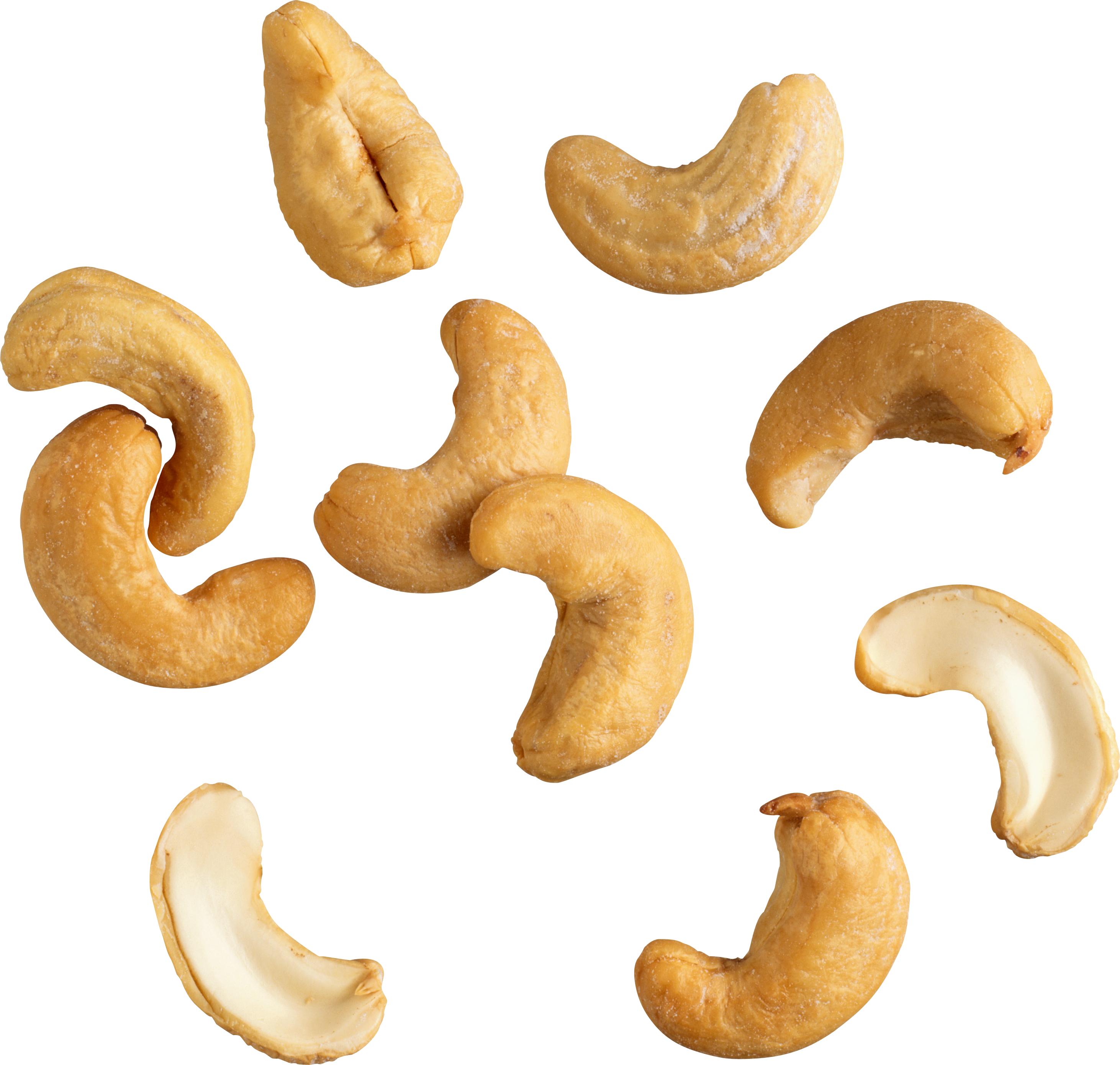 nuts clipart cashew nut