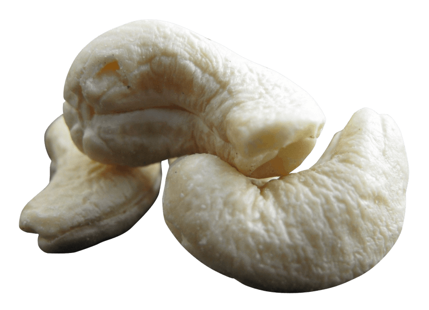 nut clipart cashew nut