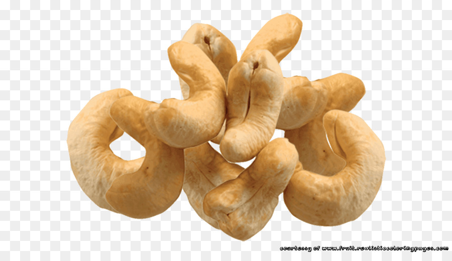 nuts clipart cashew nut