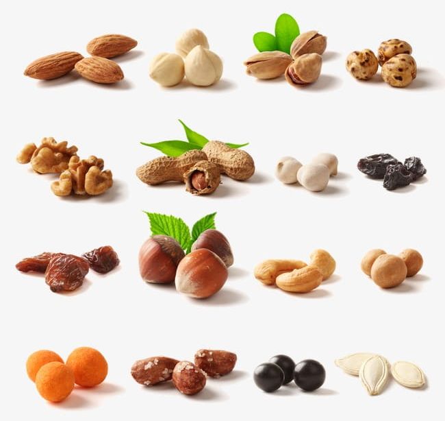 nut clipart dried
