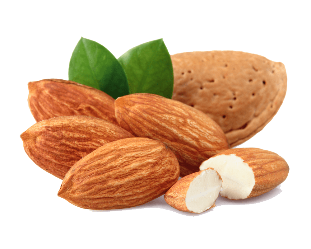 nuts clipart almond