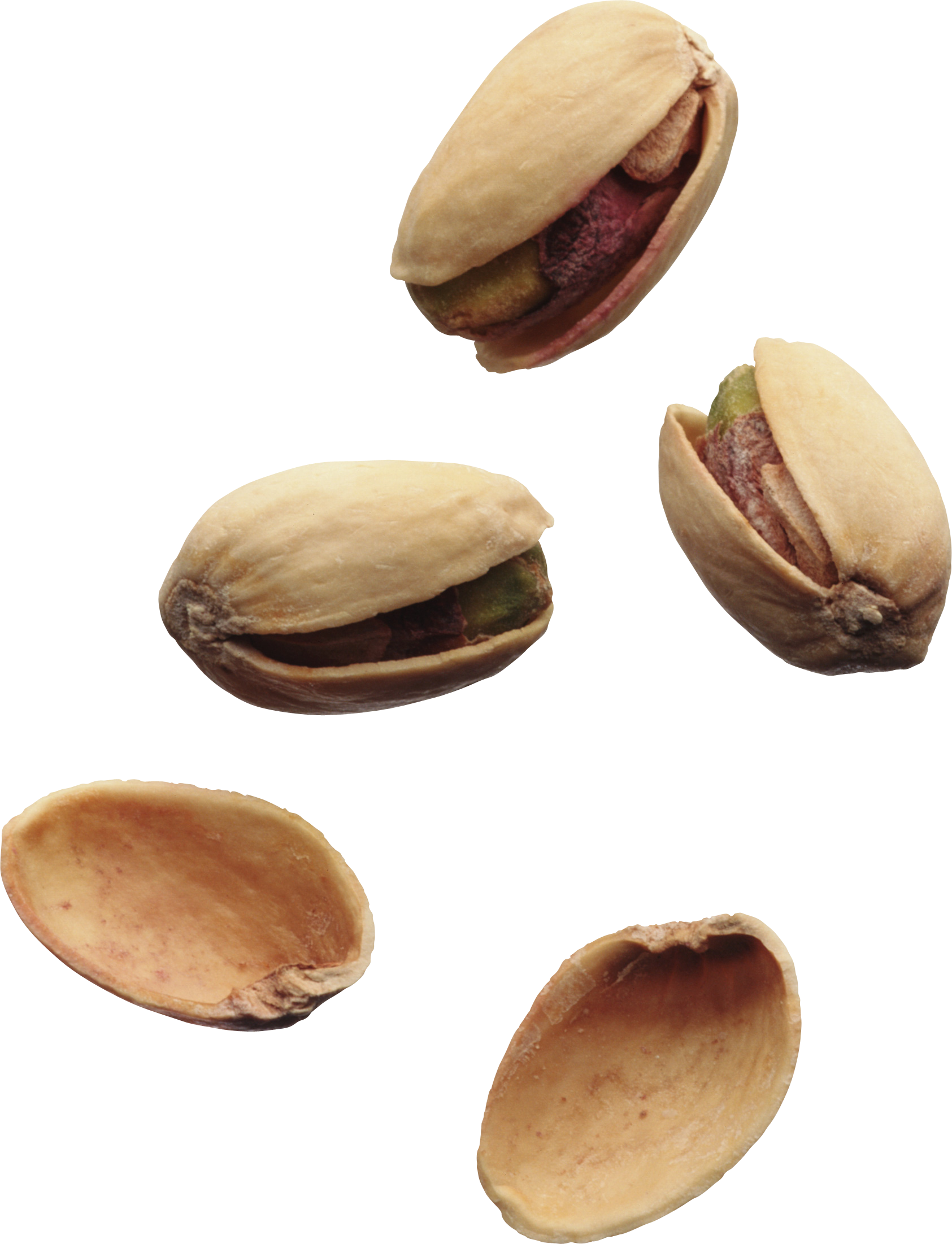 nuts clipart pistachio
