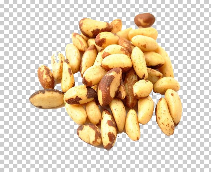 nuts clipart food brazil