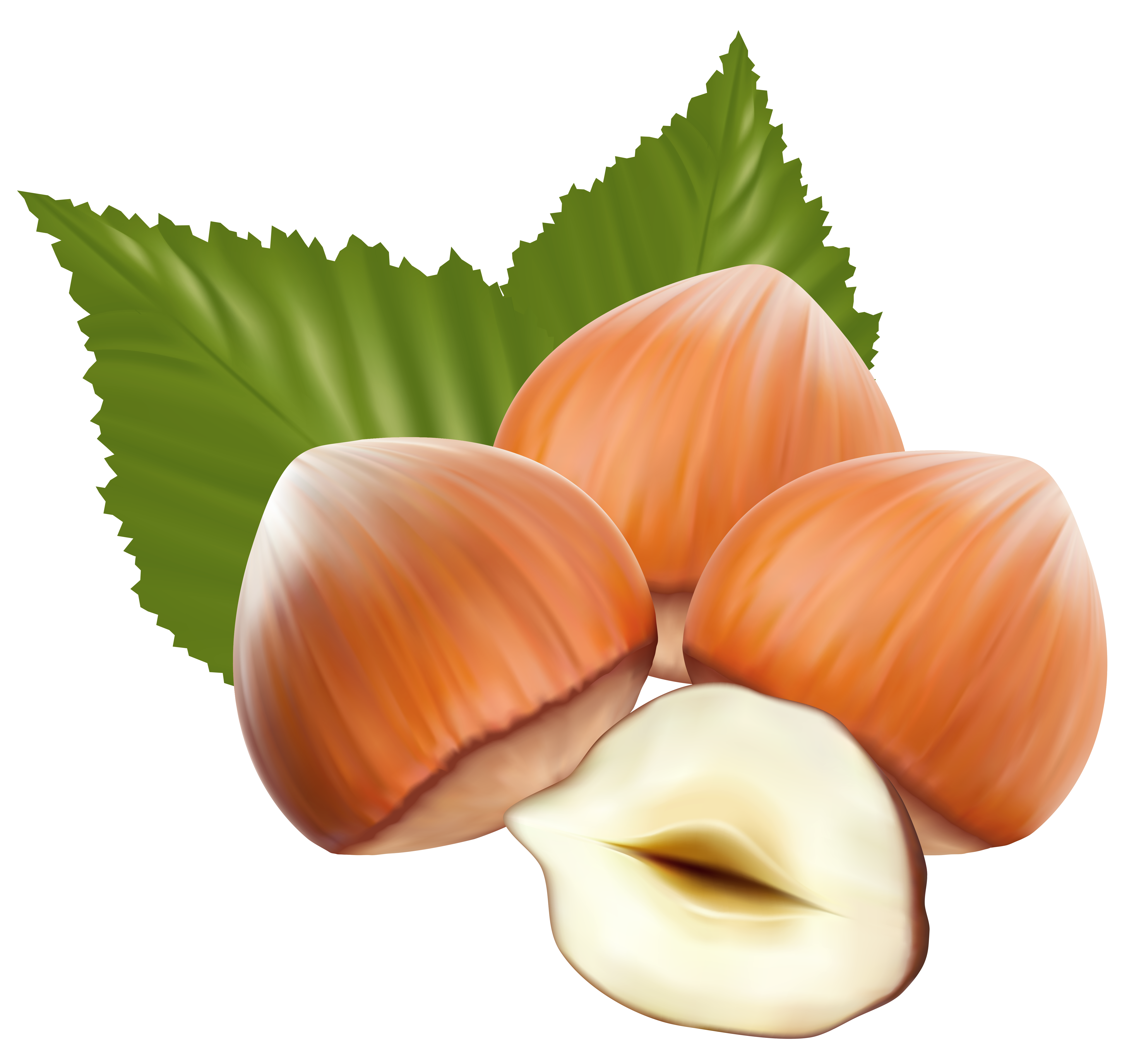 nuts clipart happy