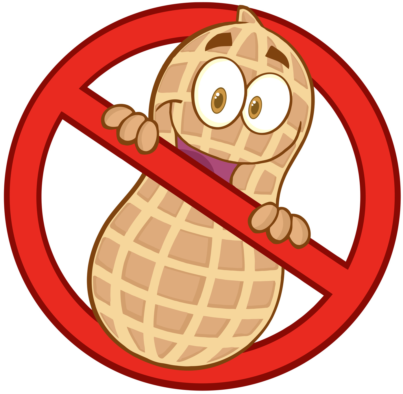 Nut free download best. Nuts clipart kid