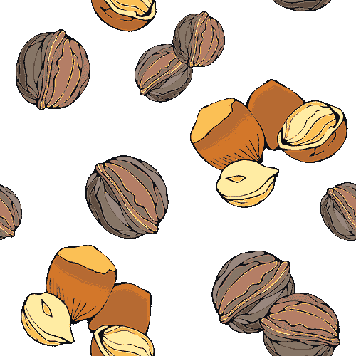 nut clipart nut seed