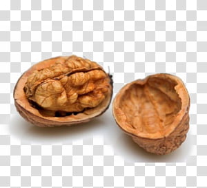 peanut clipart nutshell